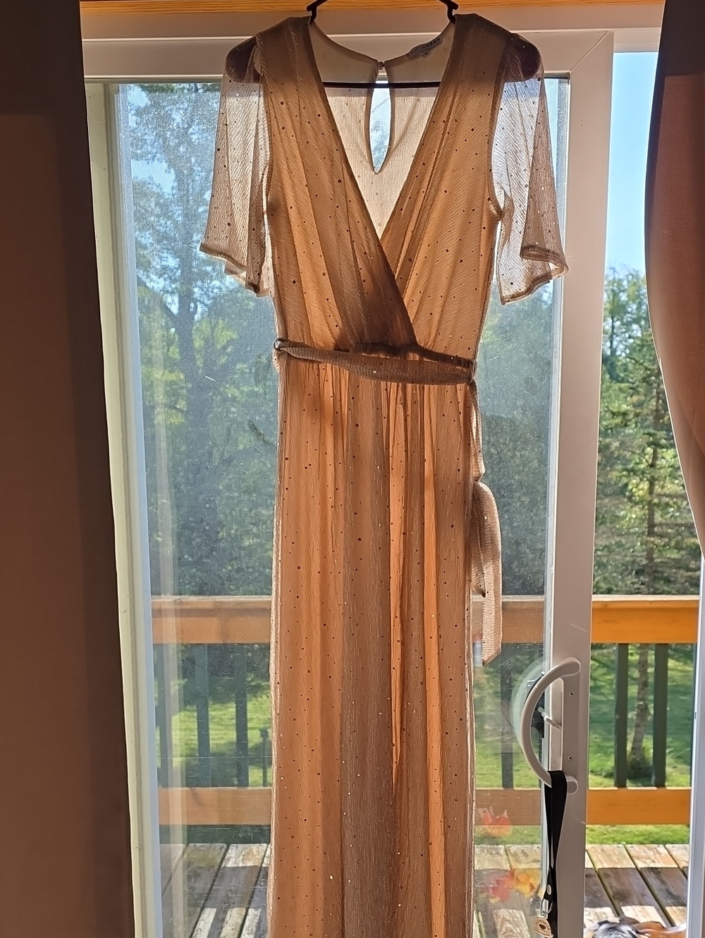 Baltic Born Champagne Sheer Maxi Dress with Sparkle-Small